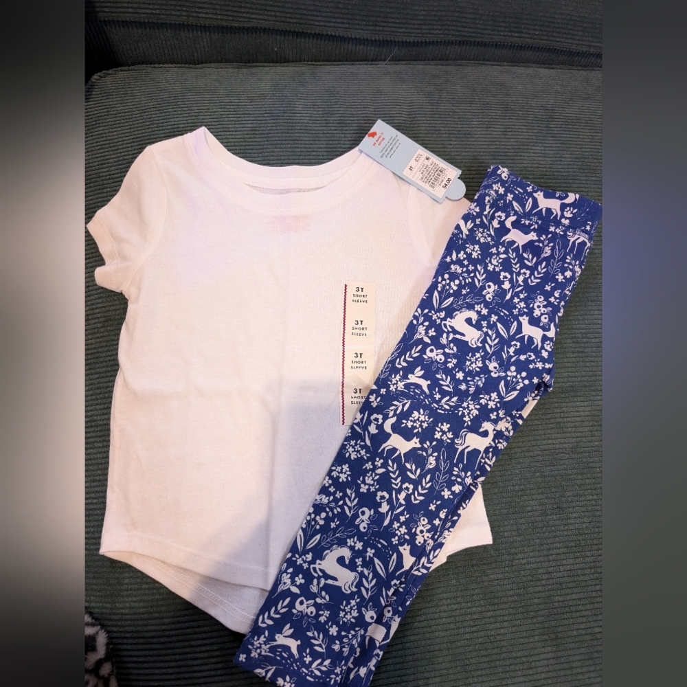 Rumi and Ryder Cat and Jack Toddler 3T Set